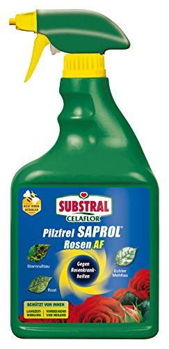 SUBSTRAL CELAFLOR Saprol Rosen Pilzfrei AF 750 ml anwendungsfertig Spray Pflanze